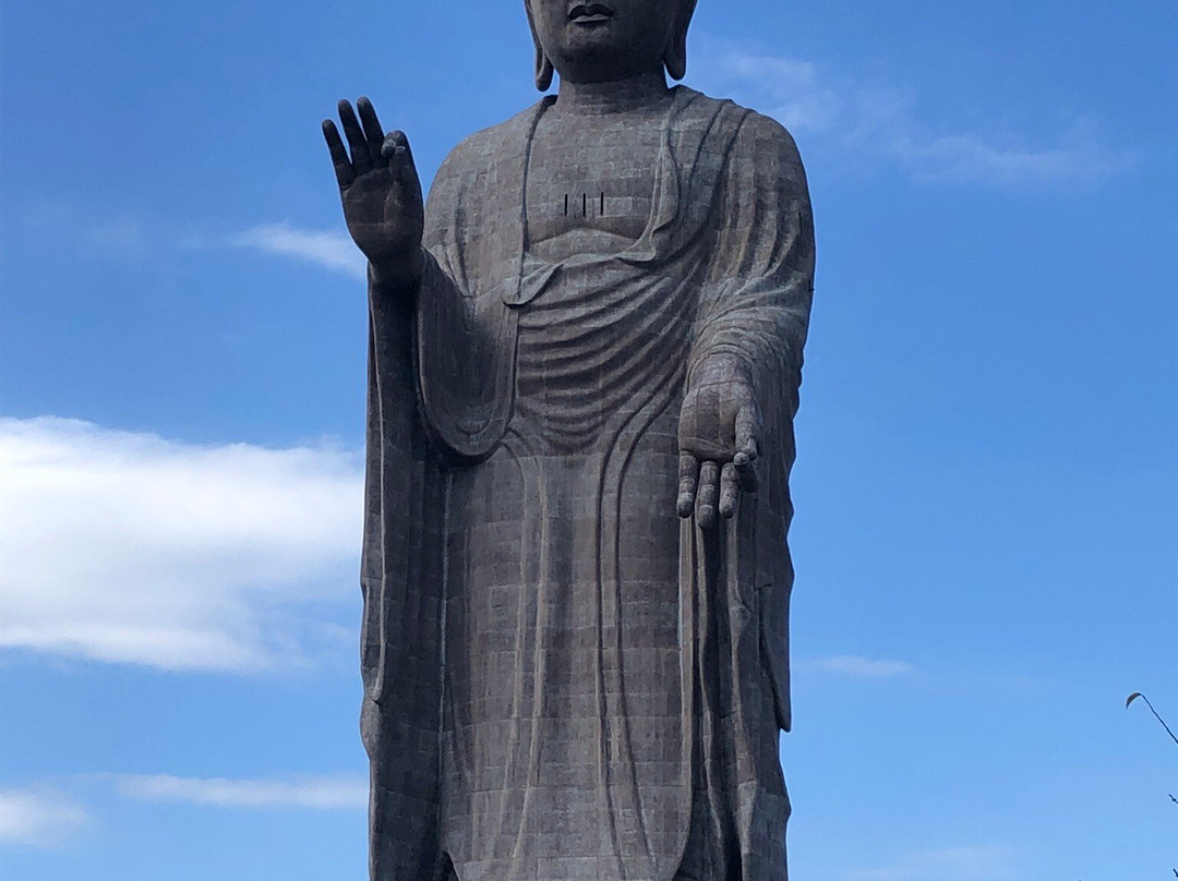 Ushiku Daibutsu-牛久市必去景点