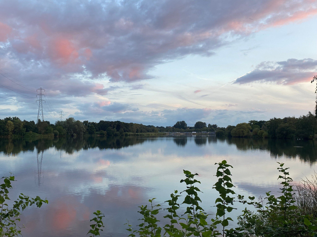 Papercourt Lake景点图片