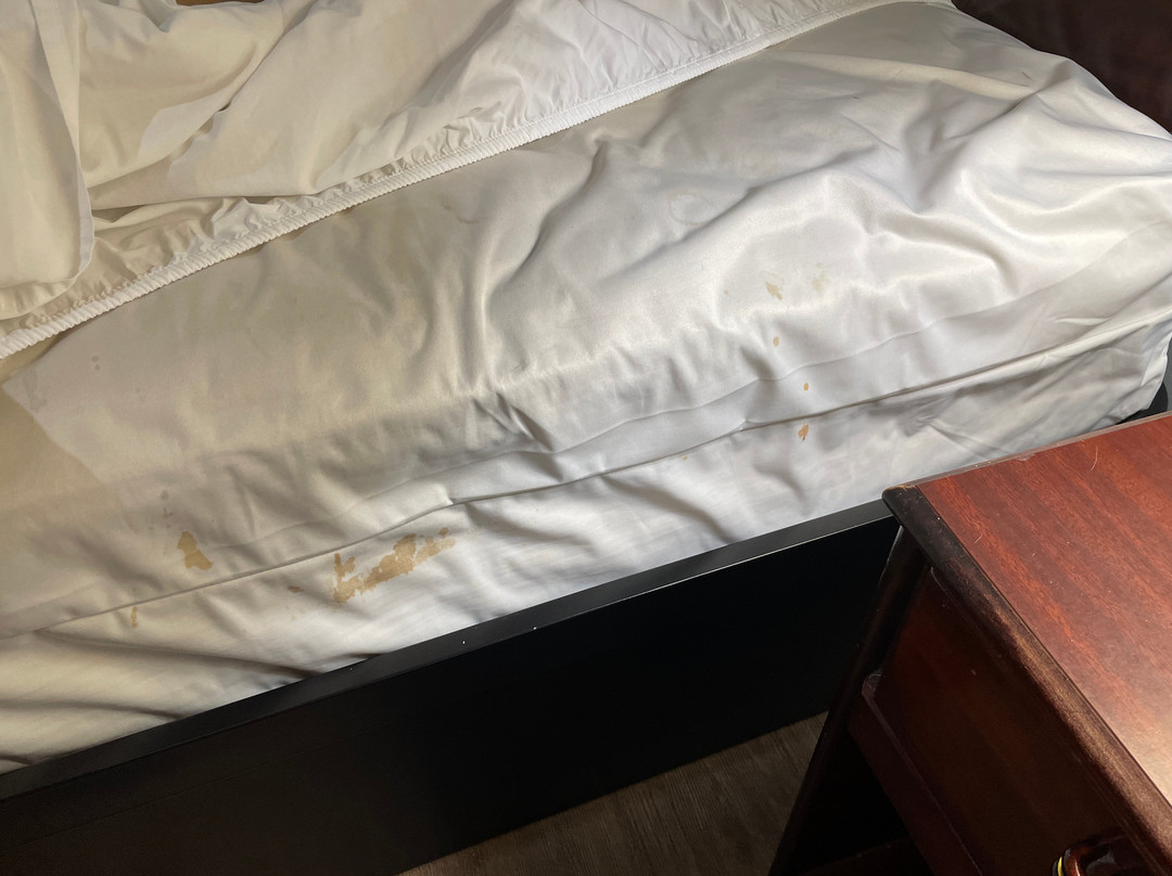 马洞汽车旅馆主图