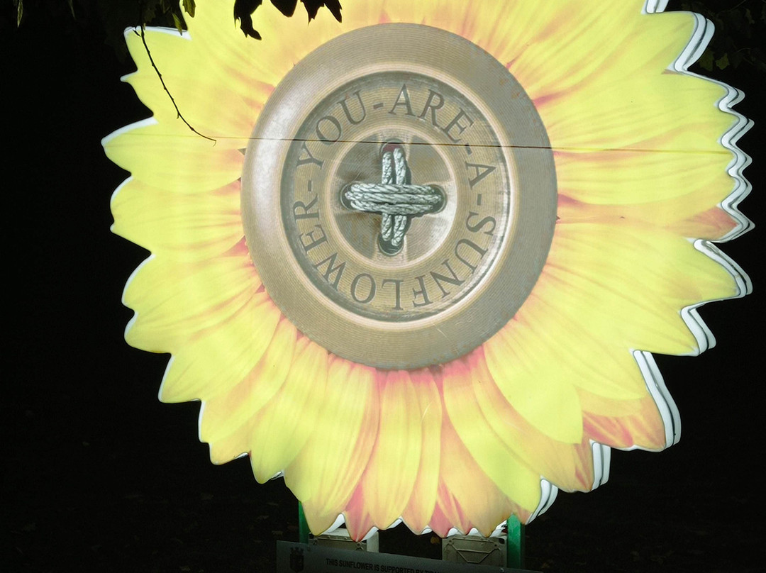 Centro storico di Tirana-地拉那必去景点