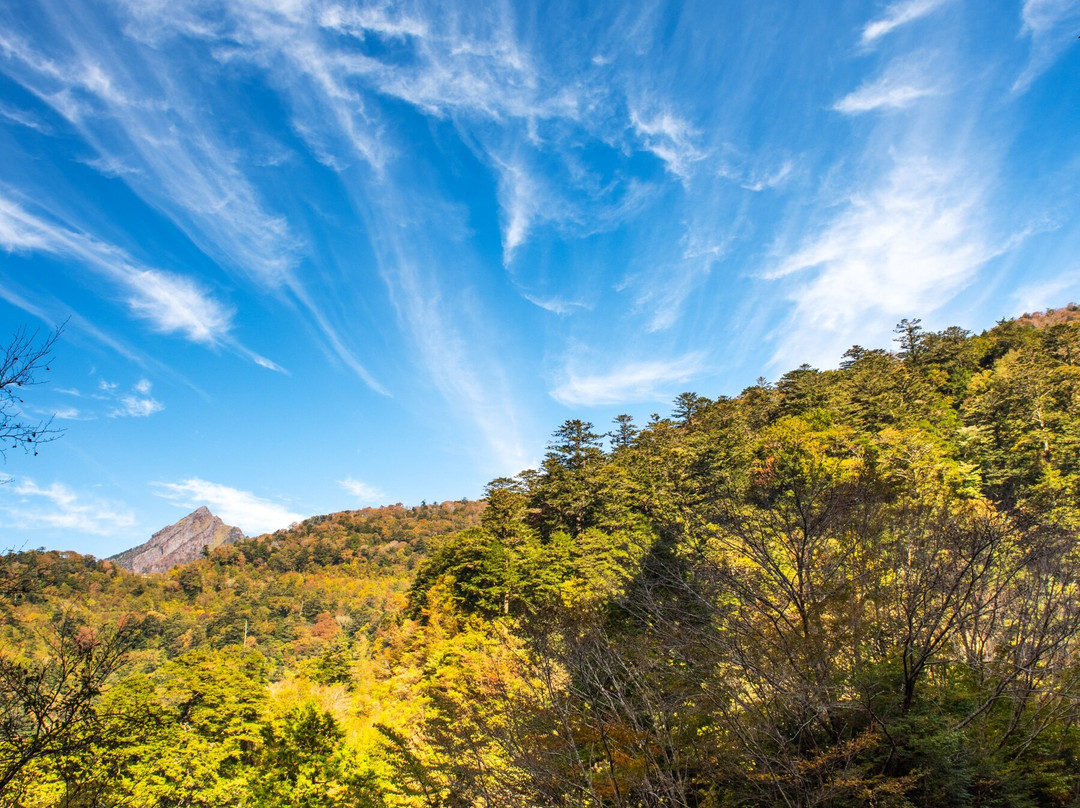 Ishizuchi Skyline-久万高原町必去景点