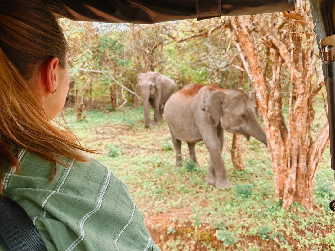 Ovi Travel Guides, Sri Lanka-卡卢特勒必去景点