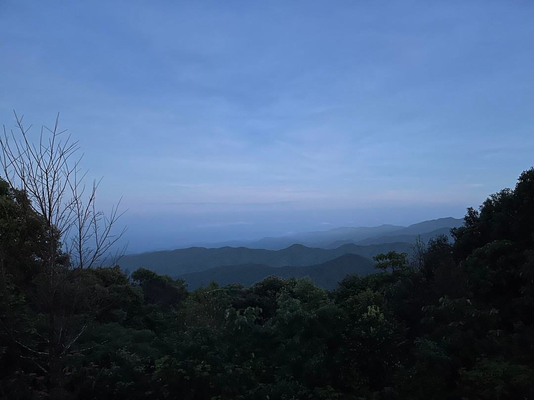 Kew Fin Viewpoint-夜安必去景点
