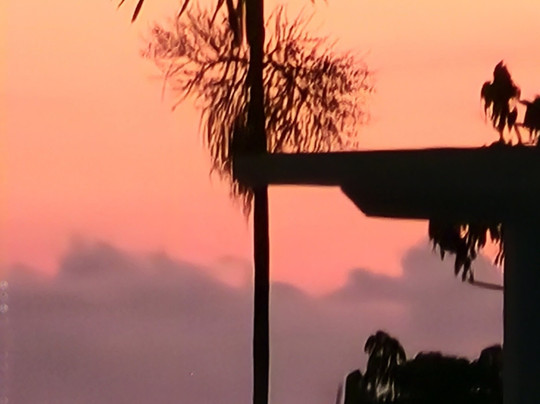 Beaches Ocho Rios A Spa & Golf - All Inclusive