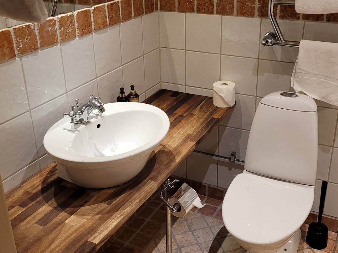 Ahus Gastgifvaregard主图