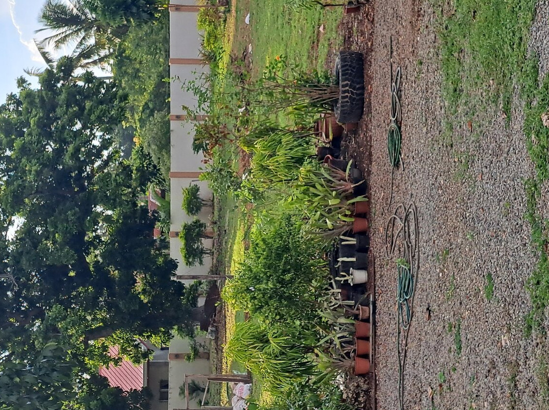 Rider's Paradise Bar & Inn主图