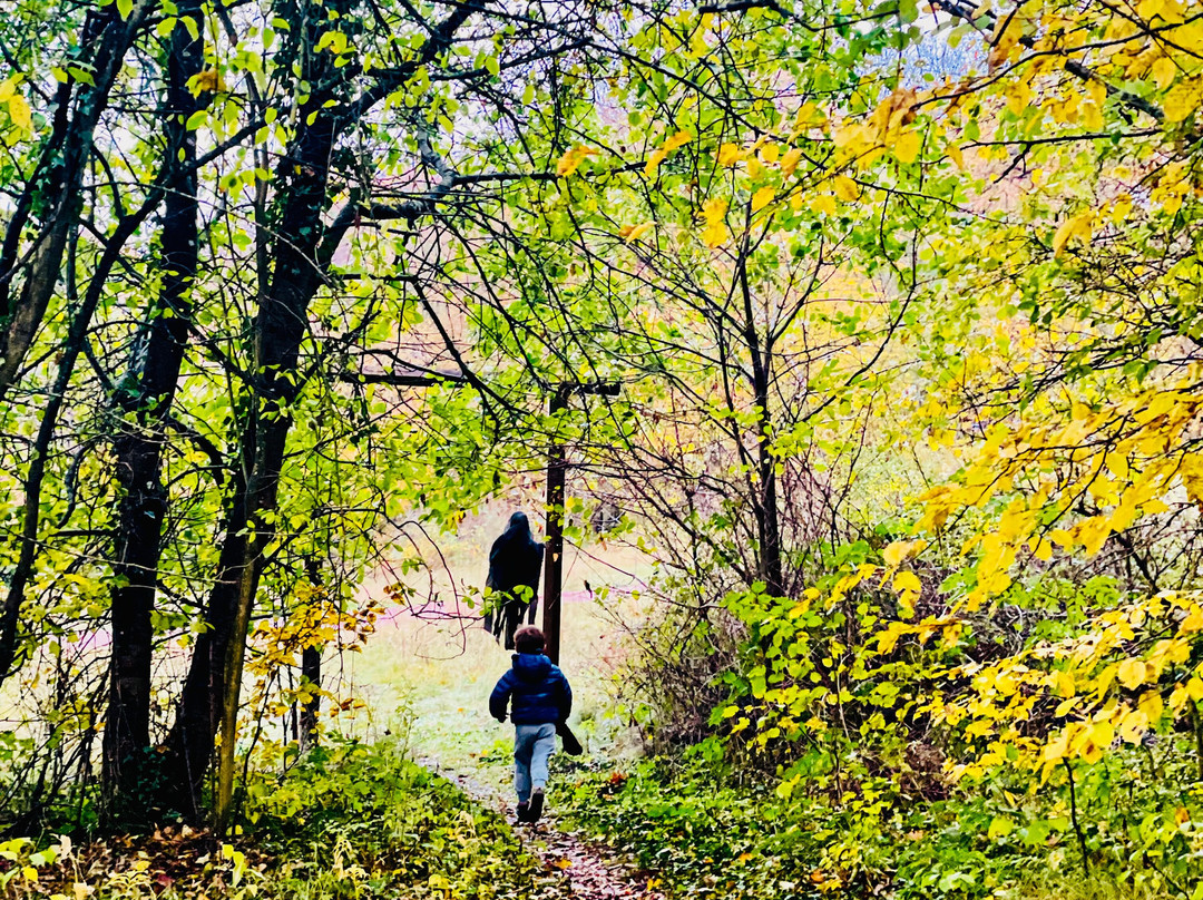 Stenshuvud Nationalpark-Kivik必去景点