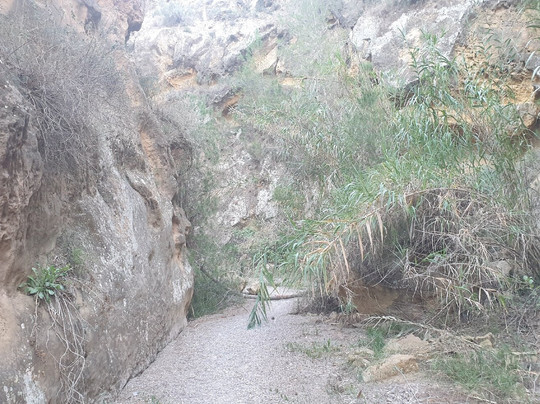 Rambla De Sangonera-Sangonera La Verde必去景点