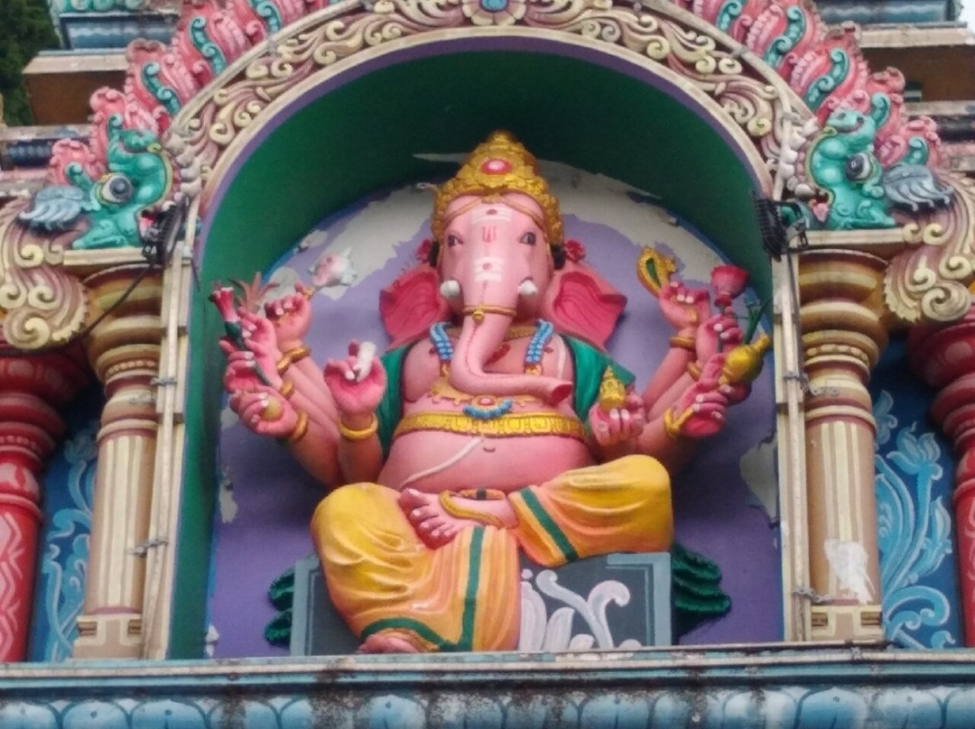 Umbrella Transfers - London Heathrow Gatwick Airport Taxi-伦敦必去景点