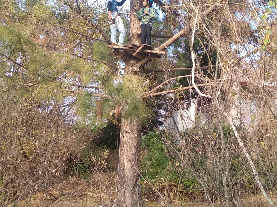 比姆塔尔乡村酒店主图