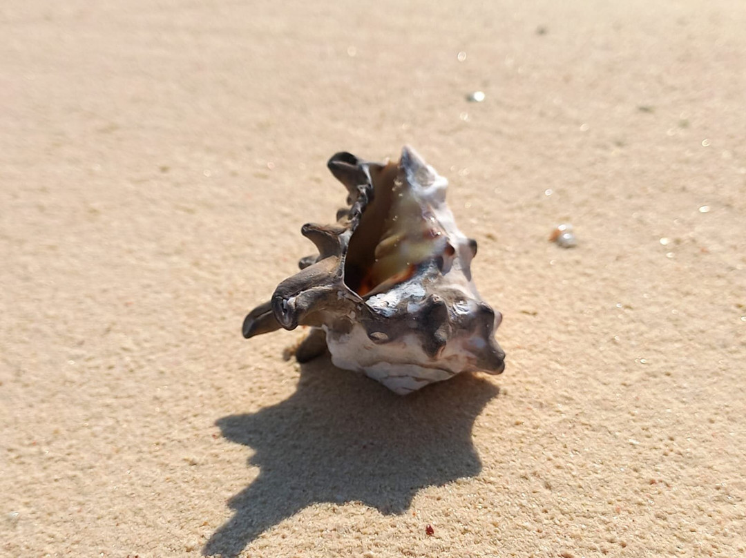 KIRA-Boot-赫尔格达必去景点