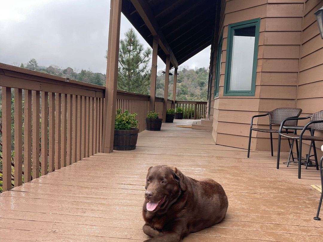 Tucker Peak Lodge主图