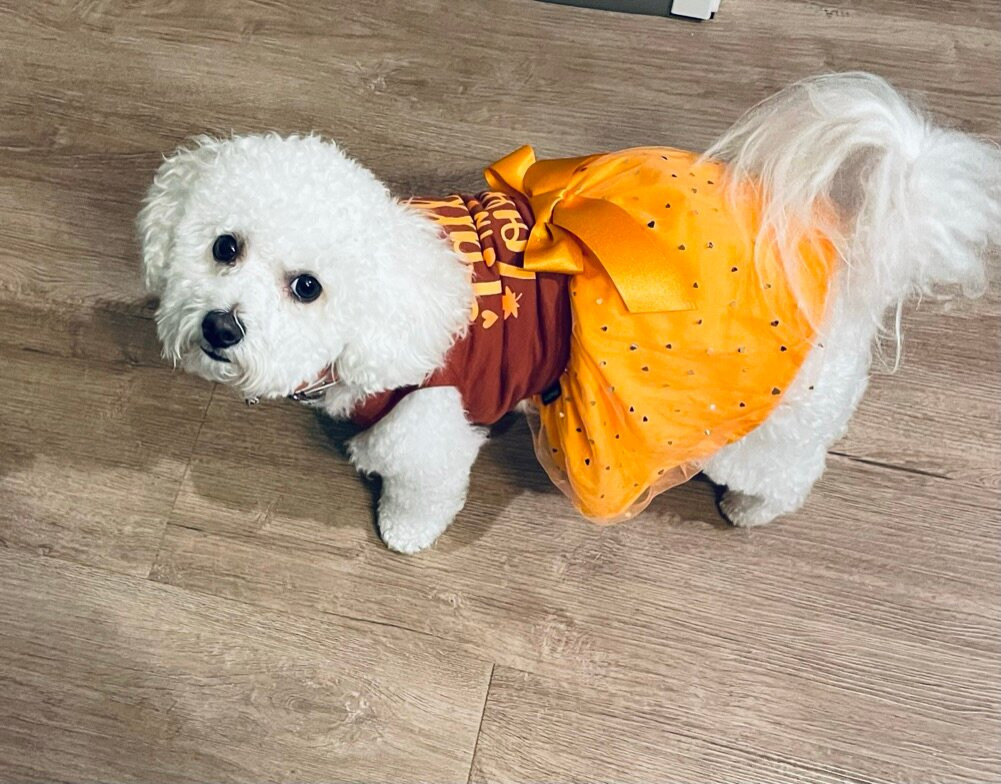 Tru by Hilton Atlanta Galleria Ballpark主图