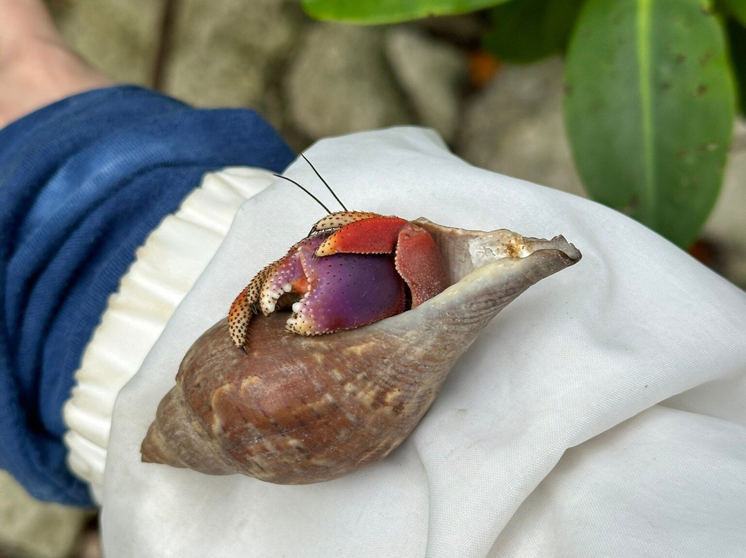 FUNKEY CHARTERS-基韦斯特必去景点