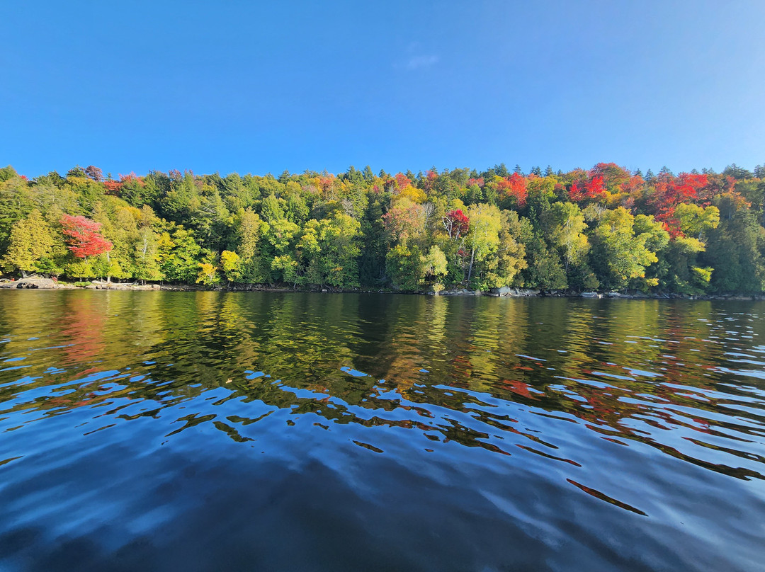 Pine Terrace Motel & Resort主图