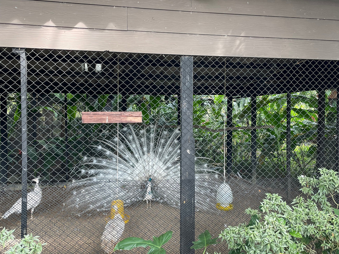 Kenaray Farmstay主图