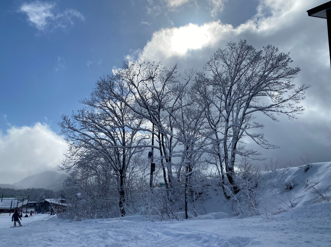 La Vista Hotel - Stay on the Slopes