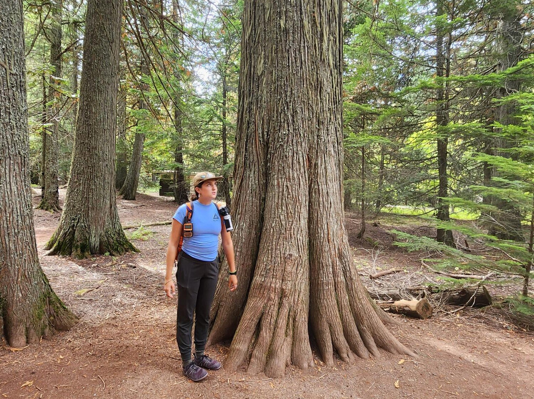 Highline Trail-冰河国家公园必去景点