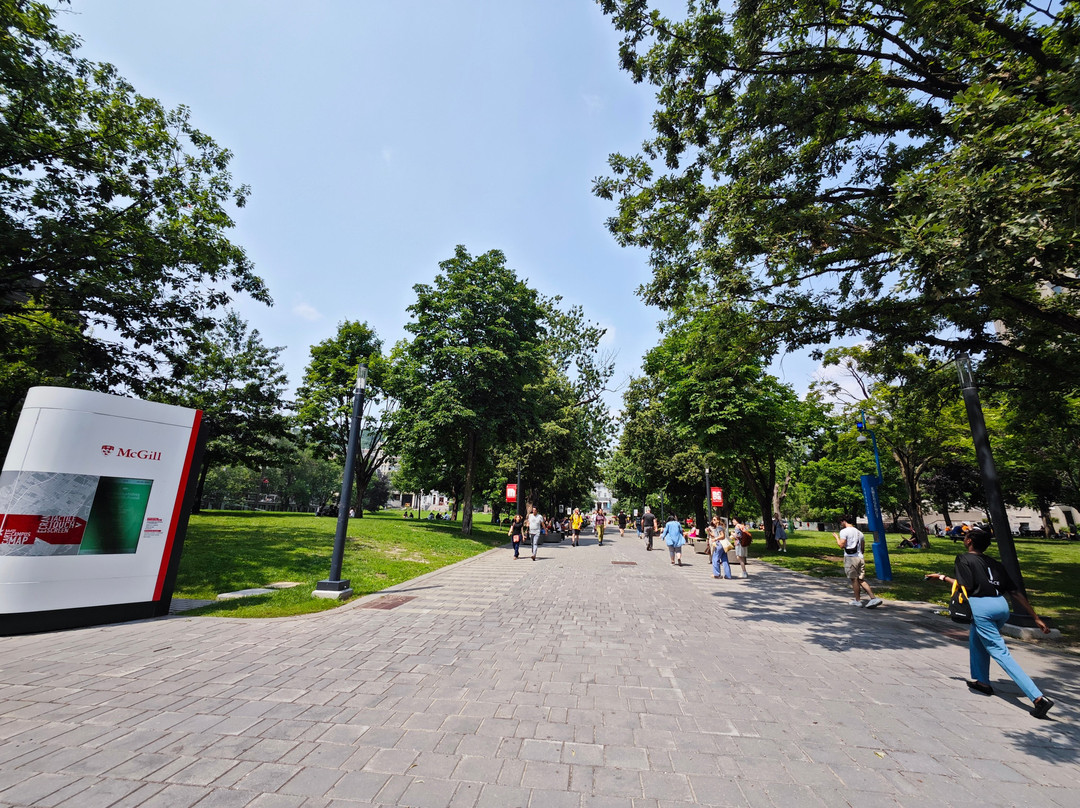 麦吉尔大学-蒙特利尔必去景点