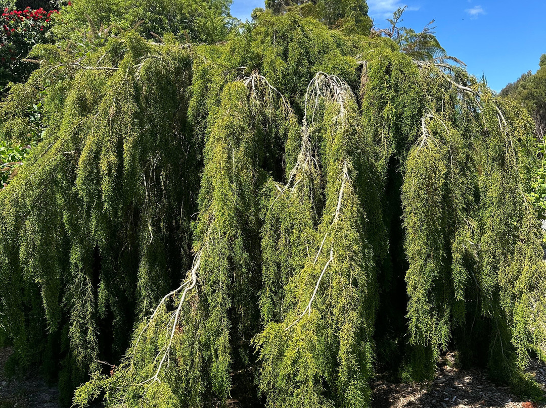 Harrison House主图