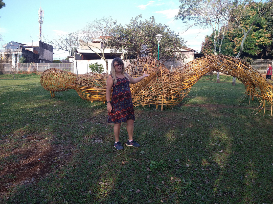 Parque Alfredo Nyffler-Maringa必去景点