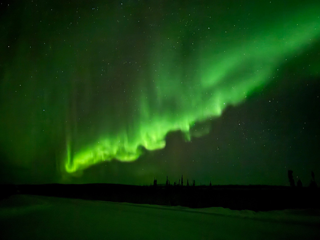 阿拉斯加野生景观之旅-北极必去景点