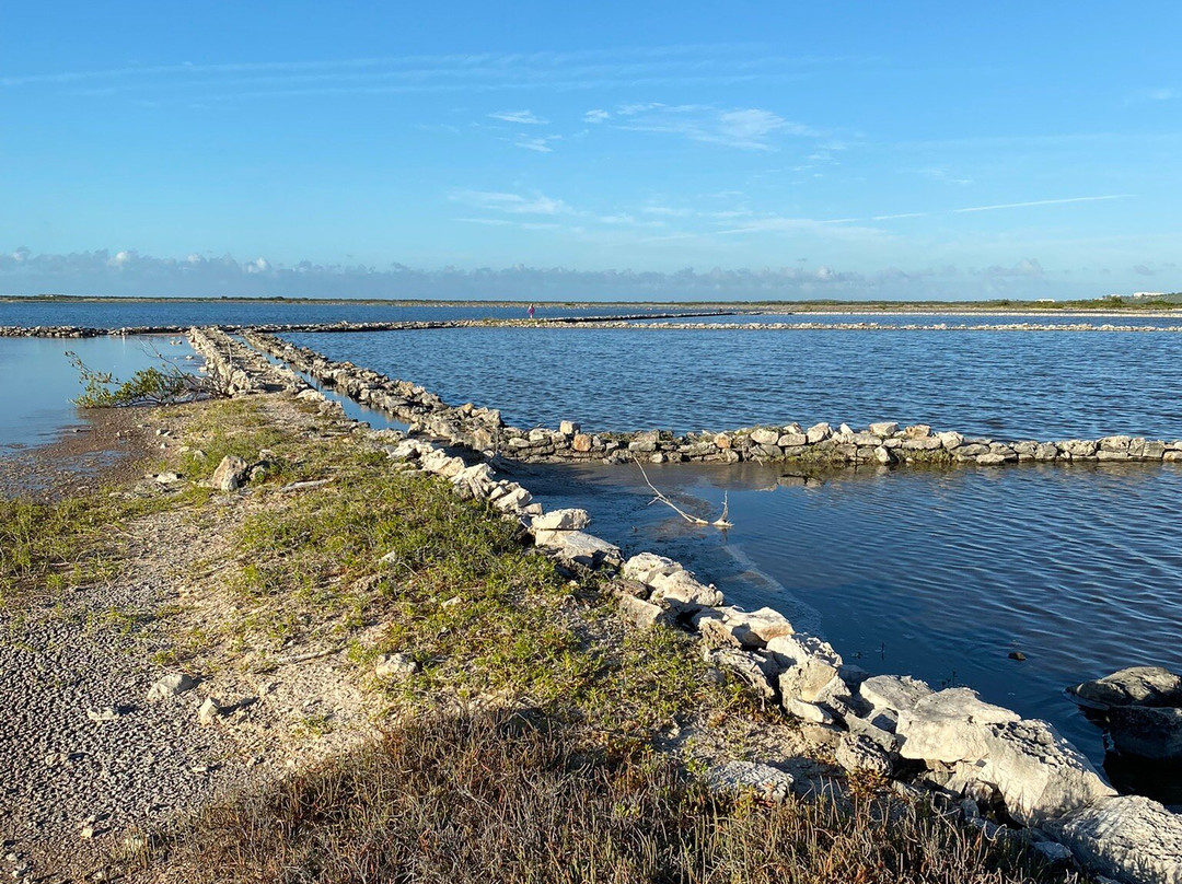 The Boiling Hole-South Caicos必去景点