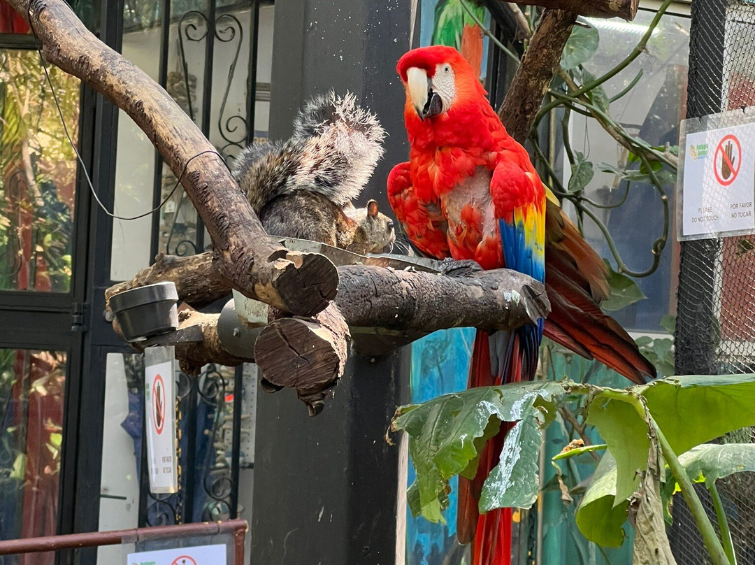 Refugio Animal De Costa Rica景点图片