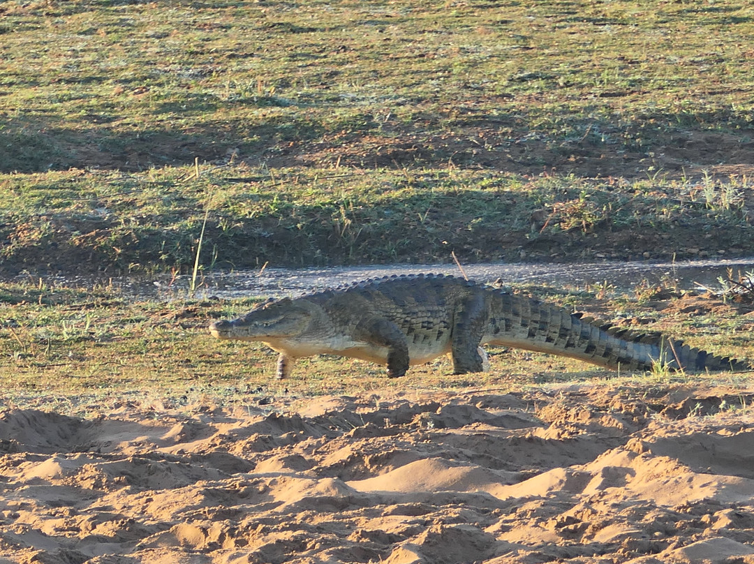 Sadaka Safaris-贝拉贝拉必去景点