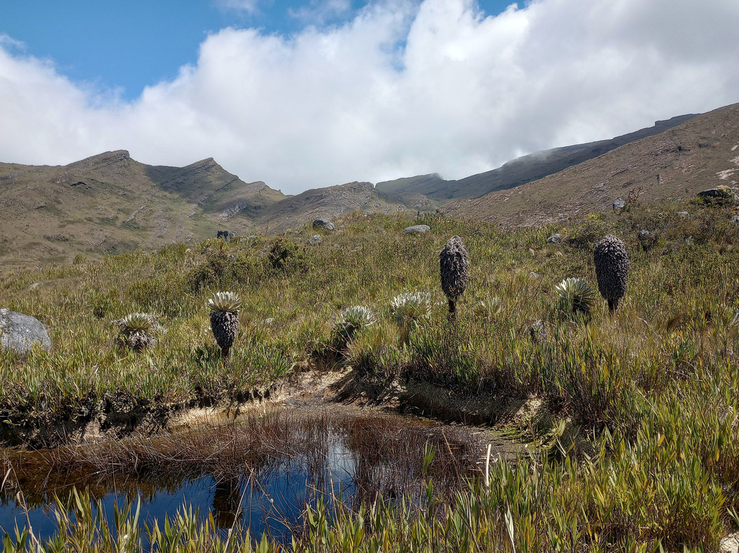 Guía Montaña Sagrada