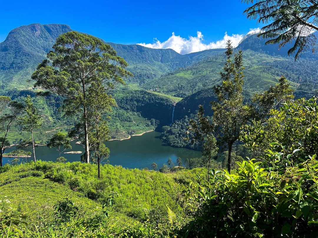 Hugging Clouds Tours-Nallathanniya必去景点