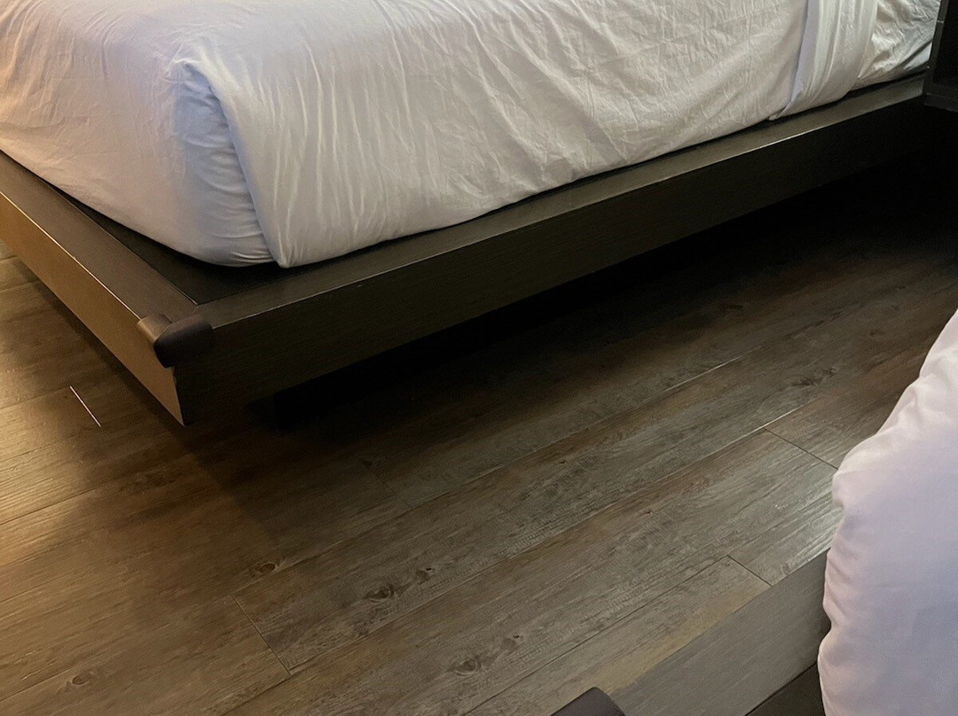 Wyndham Newport Hotel主图