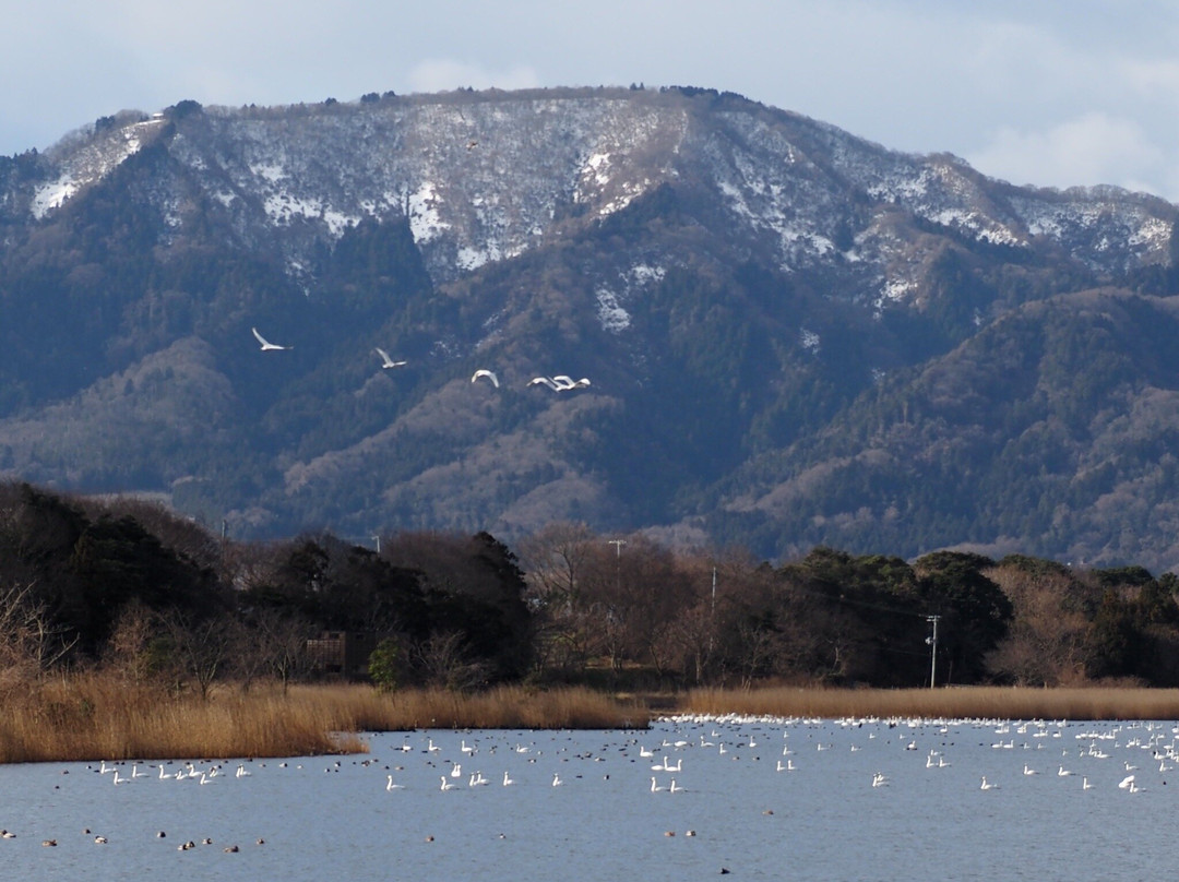 Sakata Park-新泻市必去景点