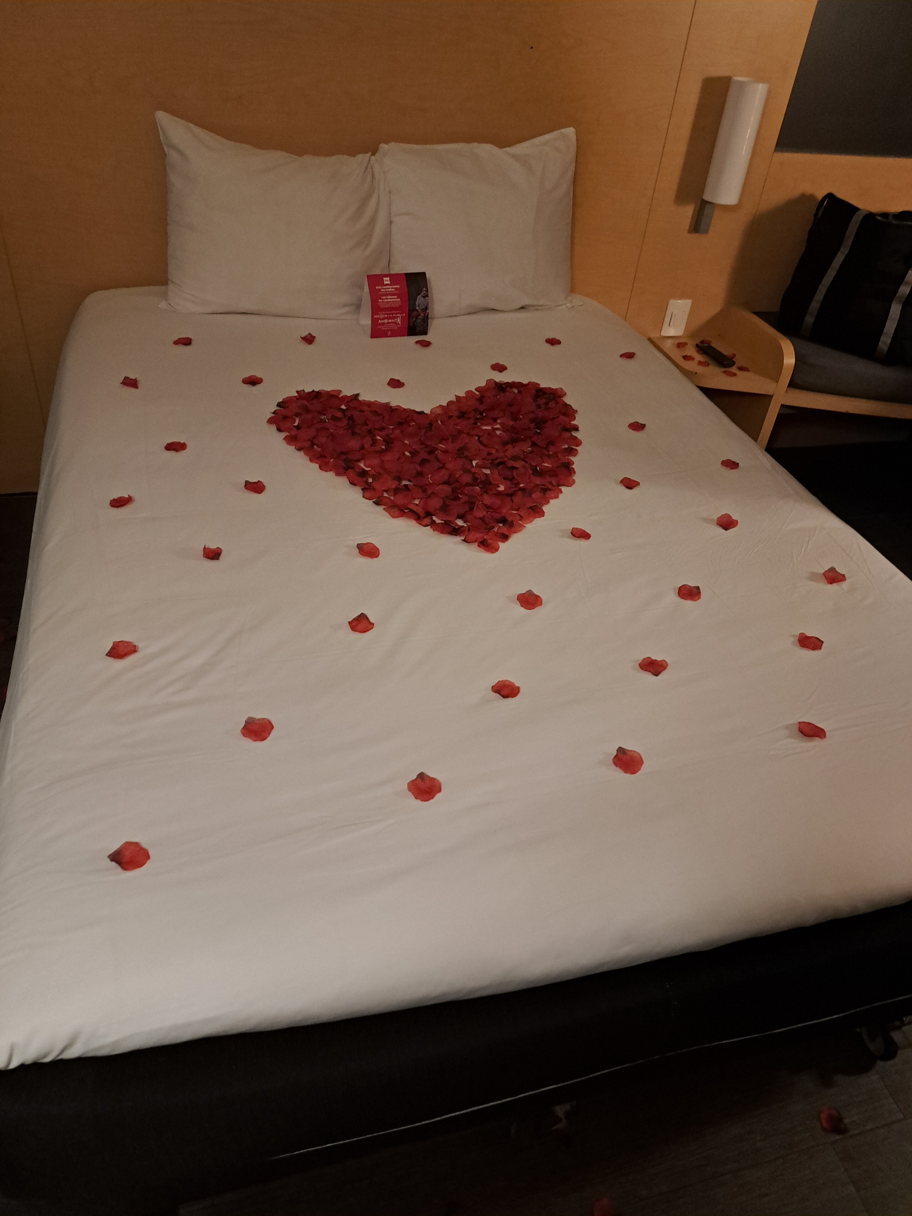 Ibis Culiacan-官方
