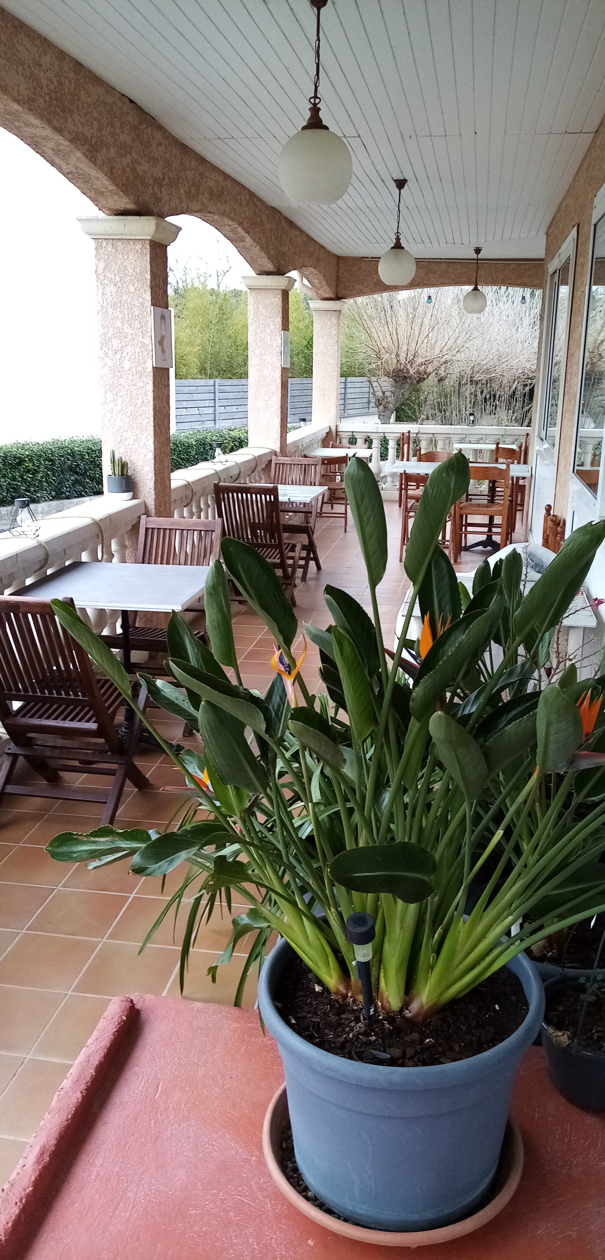 Hôtel Le Grand Jardin-官方
