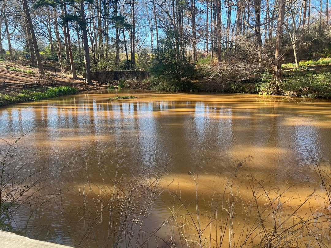 South Carolina Botanical Gardens景点图片