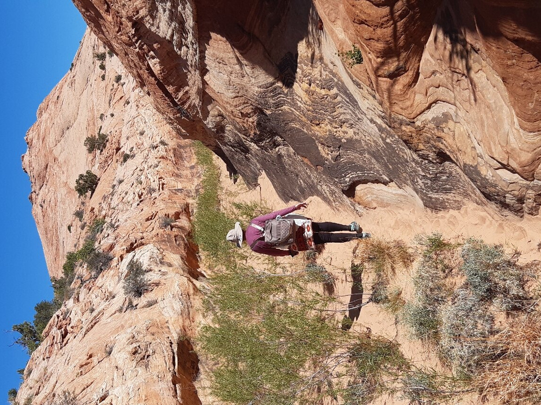 Zebra Slot Canyon景点图片