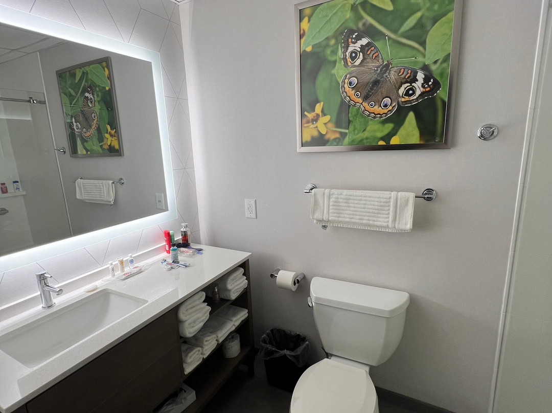 Comfort Suites Hotel And Conference Center主图