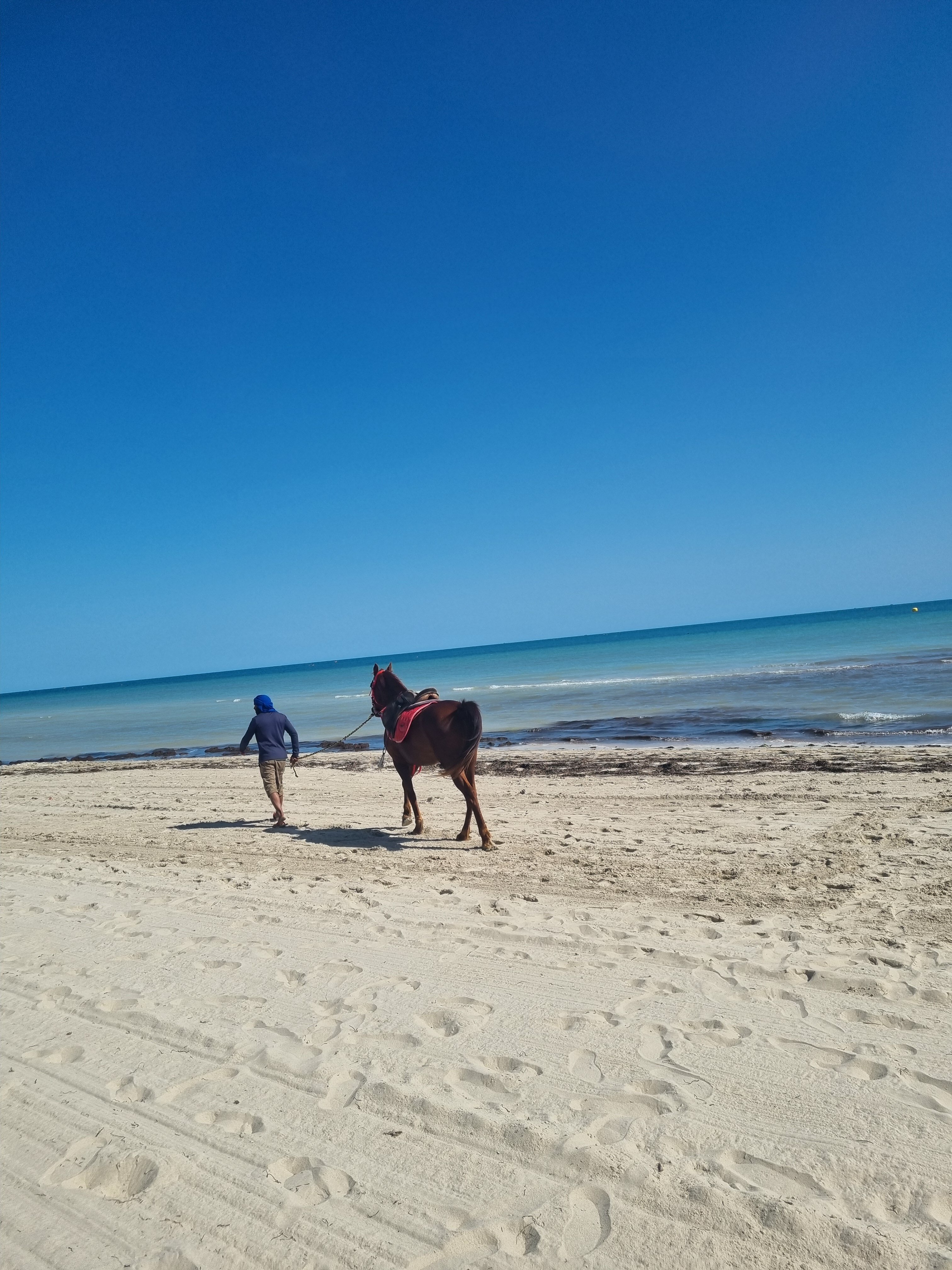 Hotel Dar El Bhar-泳池