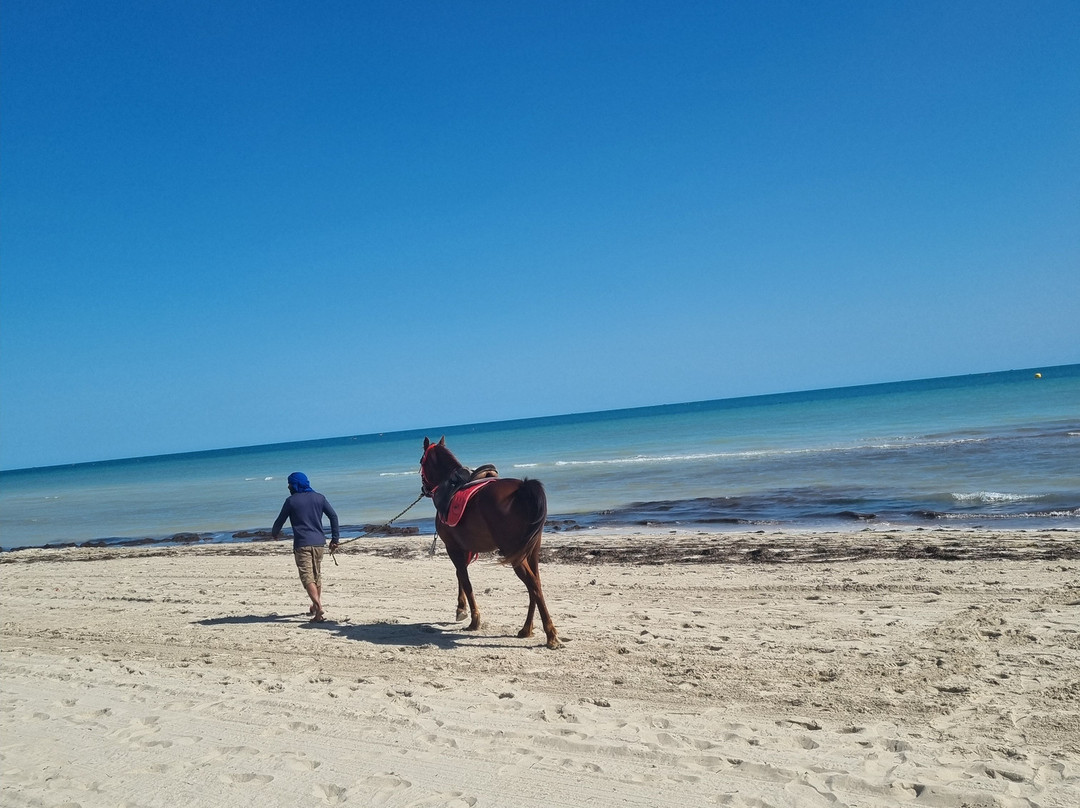 Hotel Dar ElBhar主图