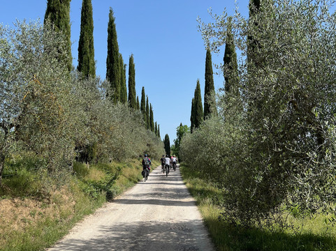 Vertigo Experiences-科尔托纳必去景点