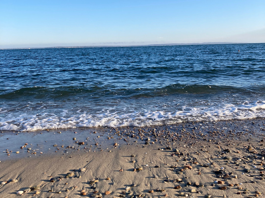 Falmouth Tides主图