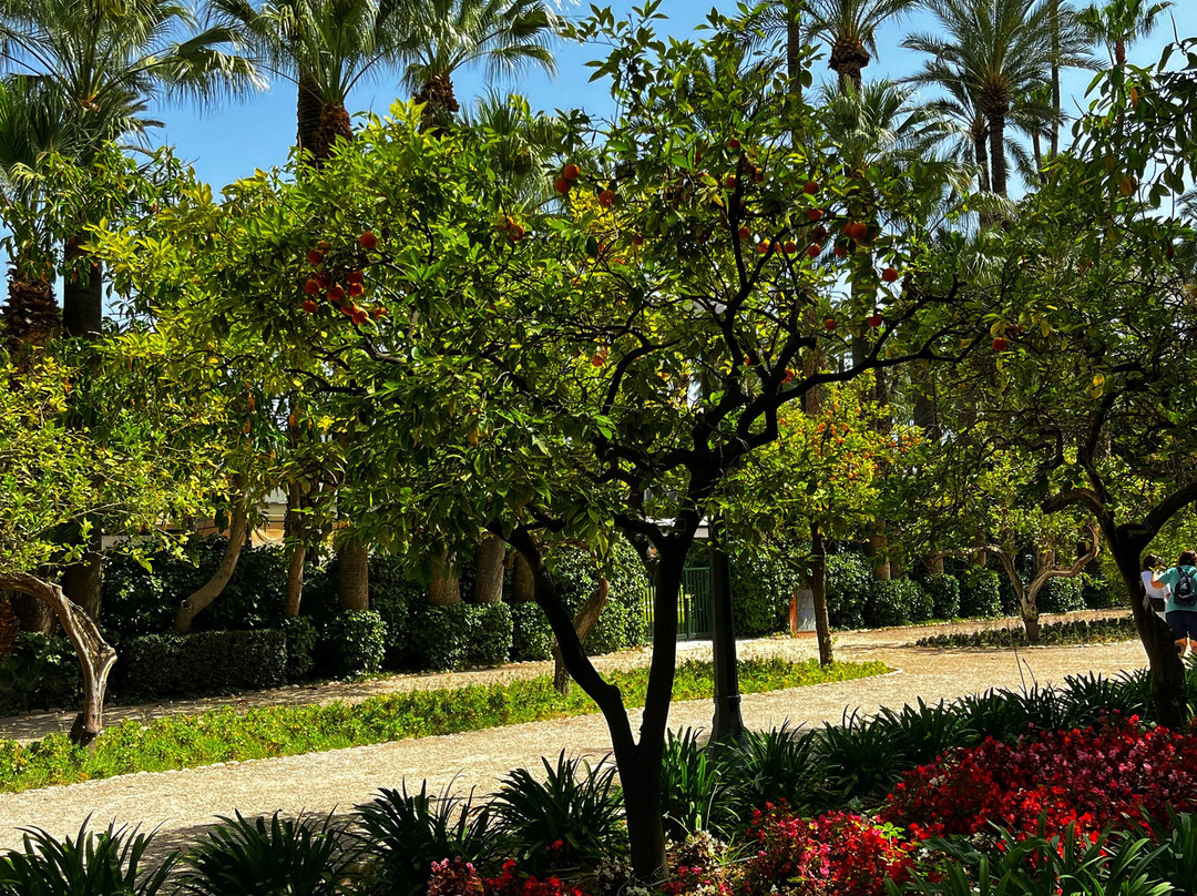 Parque Municipal景点图片