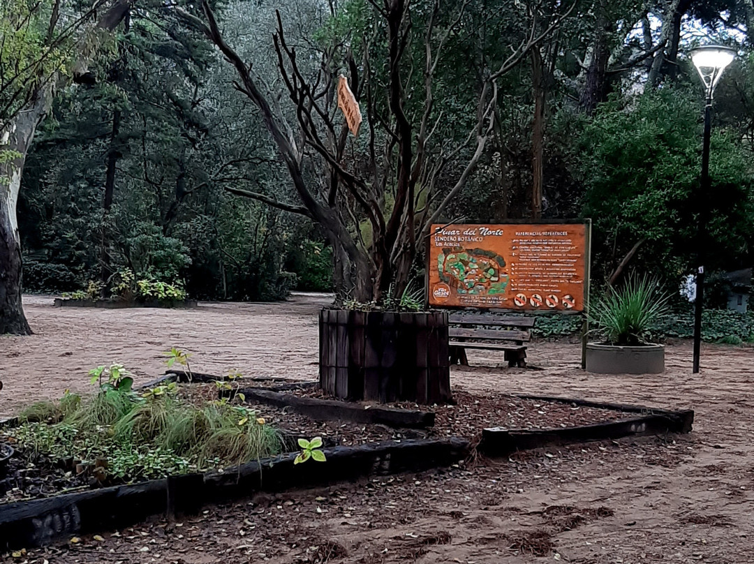 Pinar del Norte景点图片