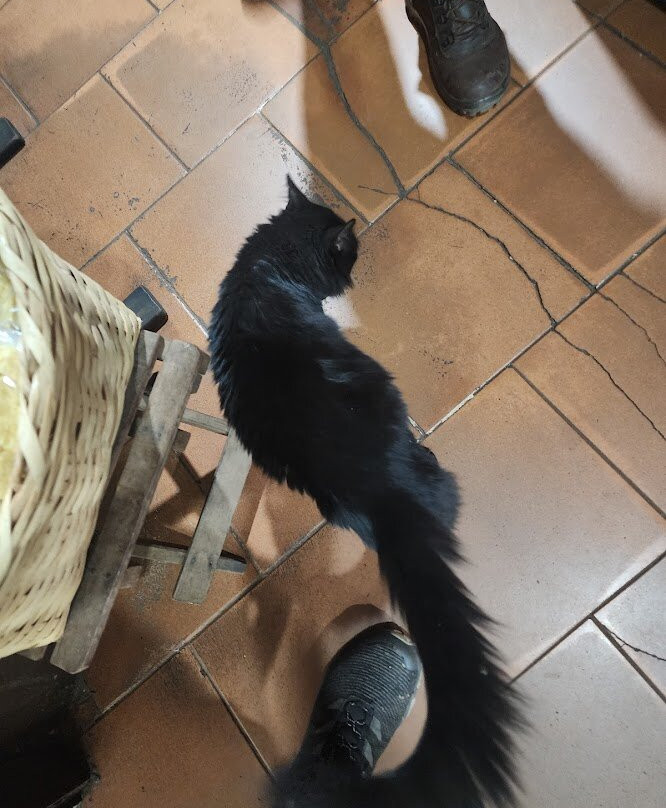 Museu do Caipira-Brotas必去景点