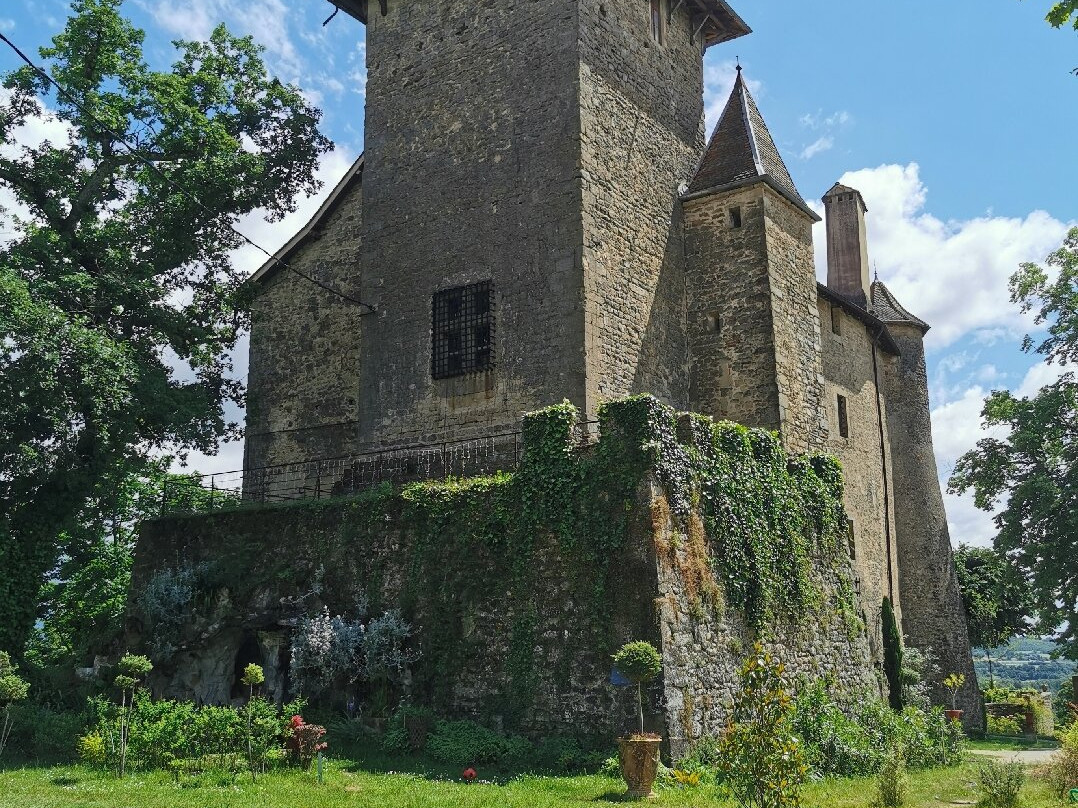 Chateau de Charmes景点图片