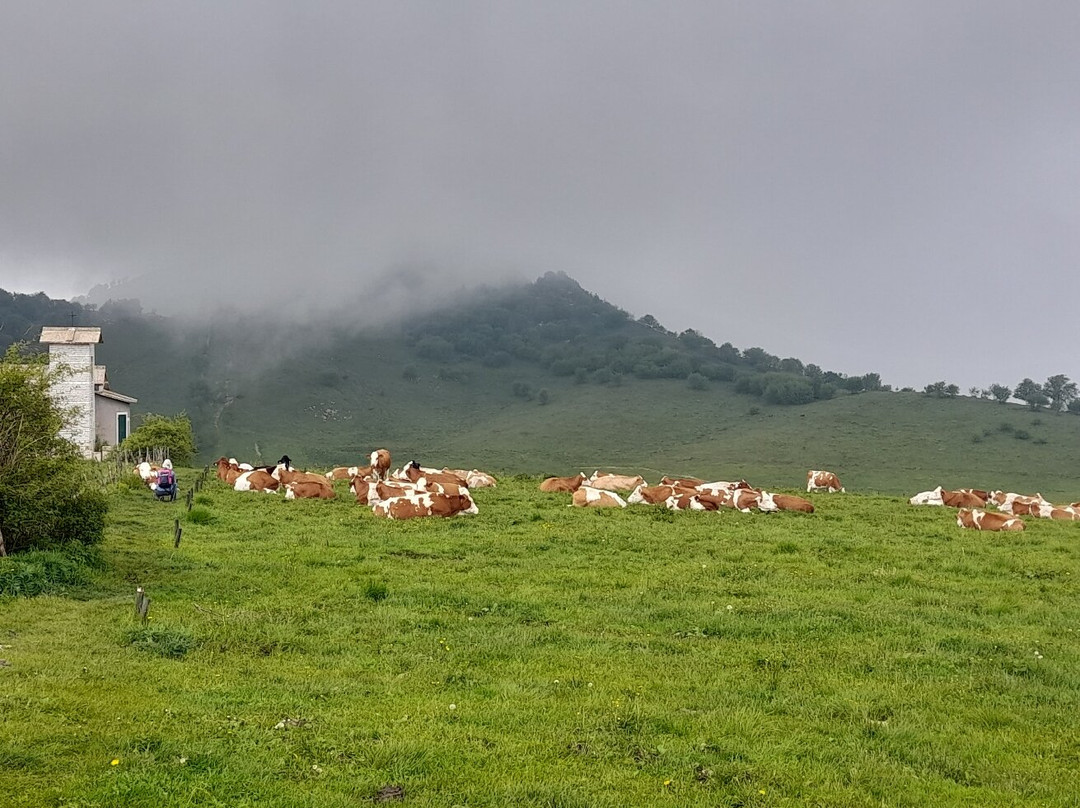 Parco Naturale Regionale della Lessinia景点图片