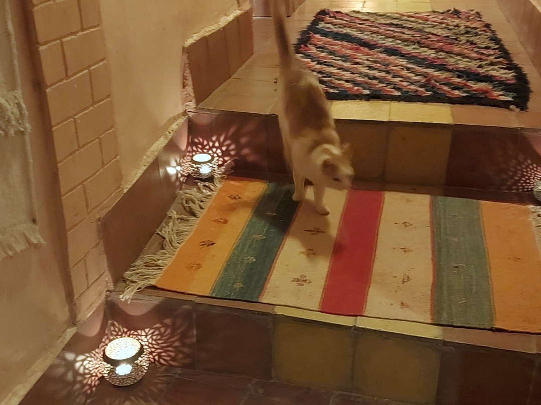 Auberge Ayouze主图