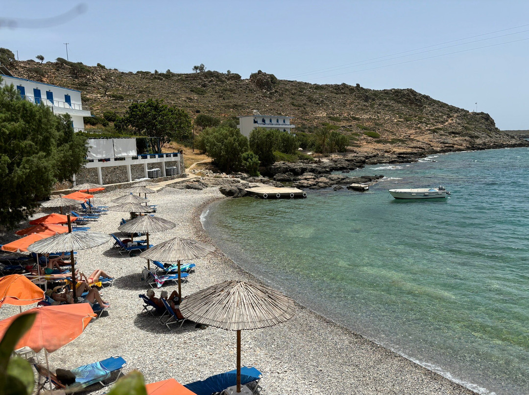 The Old Phoenix主图