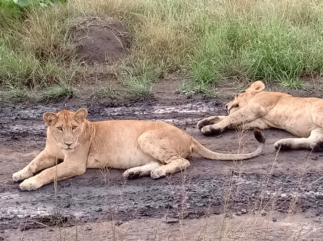 Mugenyi Eco Tours-Rubirizi必去景点
